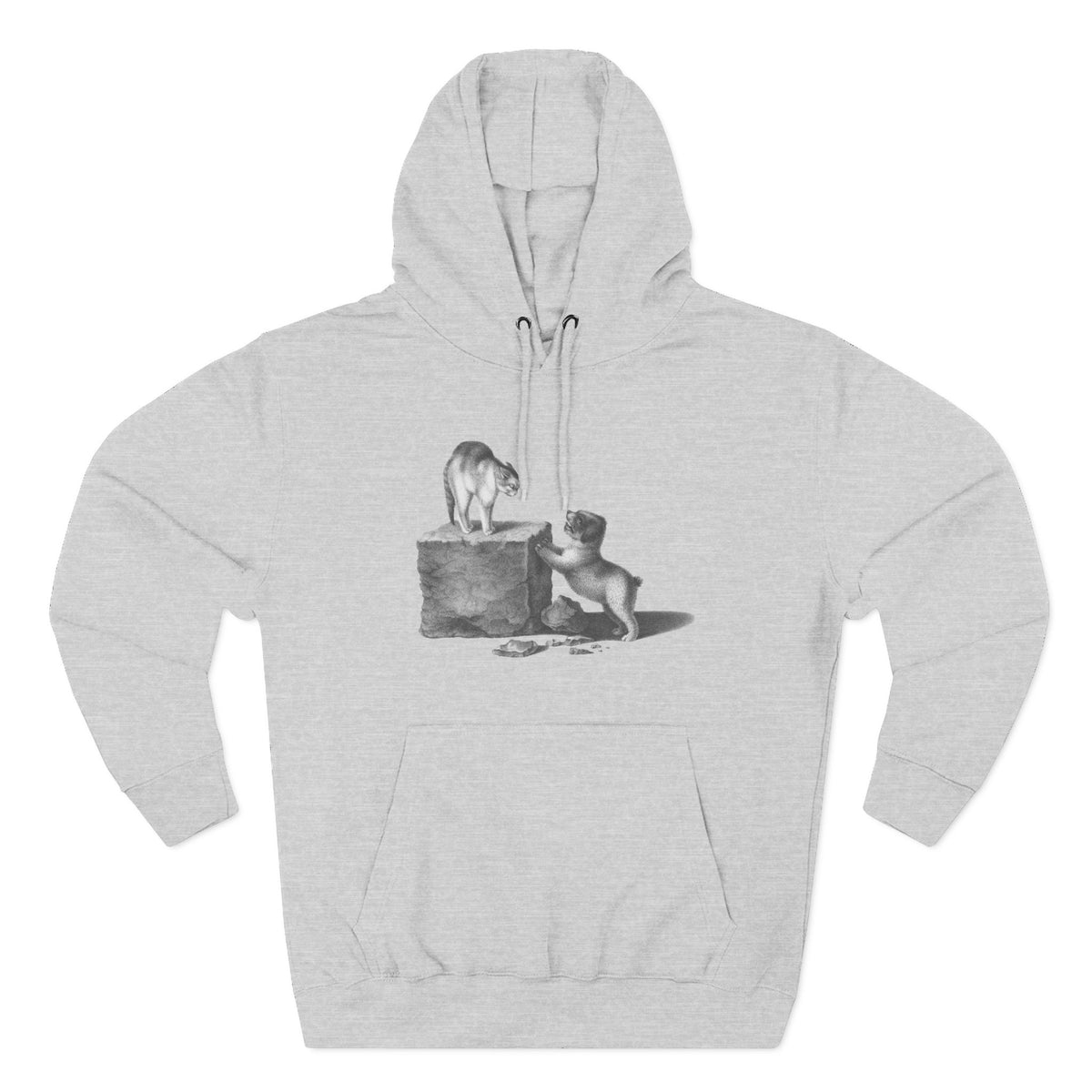cat and dog unisex hoodie