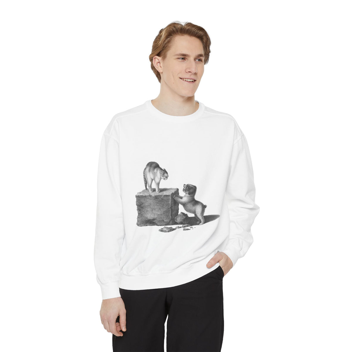cat and dog unisex sweatshirt